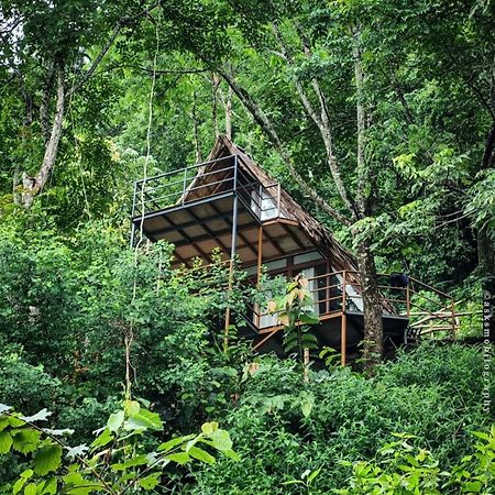 Sunset Valley Kerala Pool Resort - Serene Natural Forest Cottage Stay In Idukki With Sunrise & Sunset Panoramas, Natural Streams & Tranquil Summer Evenings Pīrmed Exteriér fotografie