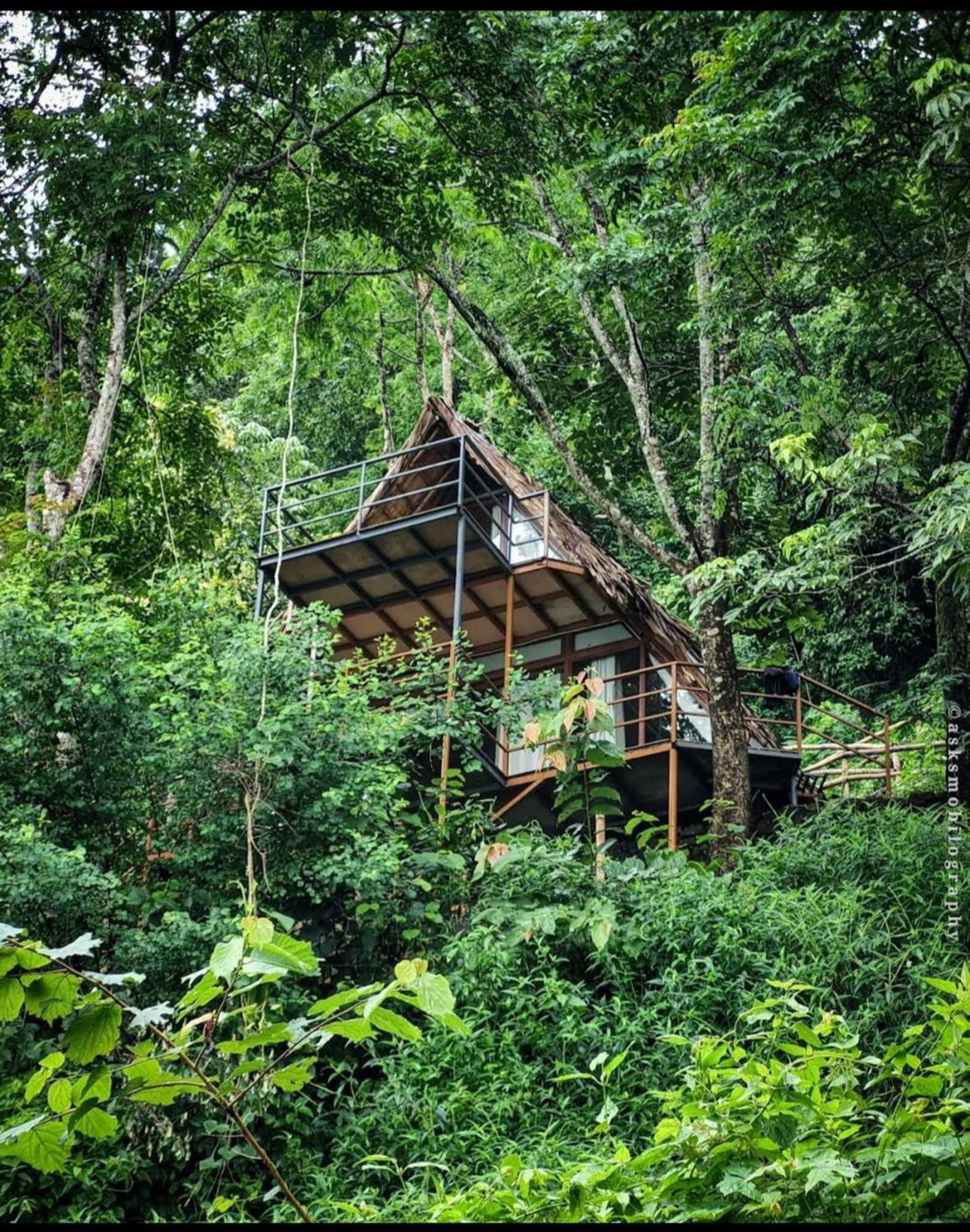 Sunset Valley Kerala Pool Resort - Serene Natural Forest Cottage Stay In Idukki With Sunrise & Sunset Panoramas, Natural Streams & Tranquil Summer Evenings Pīrmed Exteriér fotografie