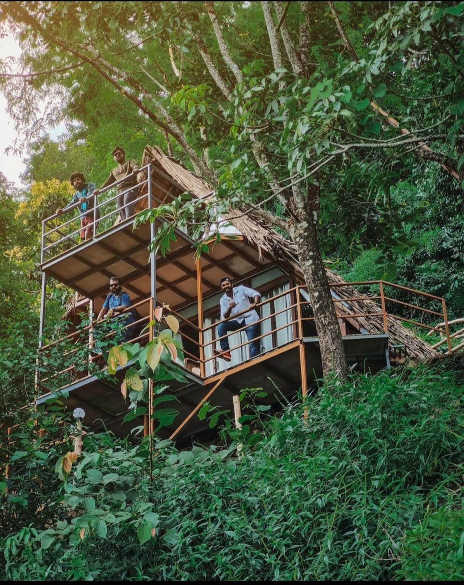 Sunset Valley Kerala Pool Resort - Serene Natural Forest Cottage Stay In Idukki With Sunrise & Sunset Panoramas, Natural Streams & Tranquil Summer Evenings Pīrmed Exteriér fotografie