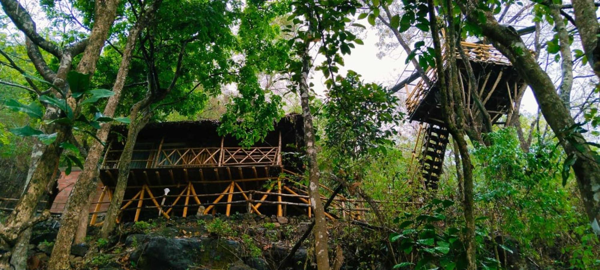 Sunset Valley Kerala Pool Resort - Monsoon Forest Cottage Stay In Idukki With Private Waterfalls, Natural Streams & Breathtaking Views Pīrmed Exteriér fotografie