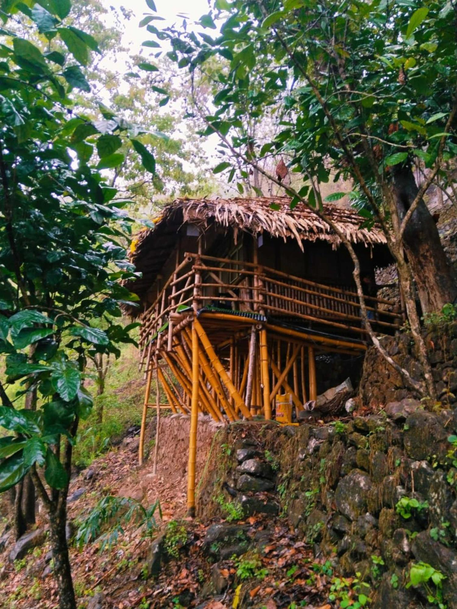 Sunset Valley Kerala Pool Resort - Serene Natural Forest Cottage Stay In Idukki With Sunrise & Sunset Panoramas, Natural Streams & Tranquil Summer Evenings Pīrmed Exteriér fotografie
