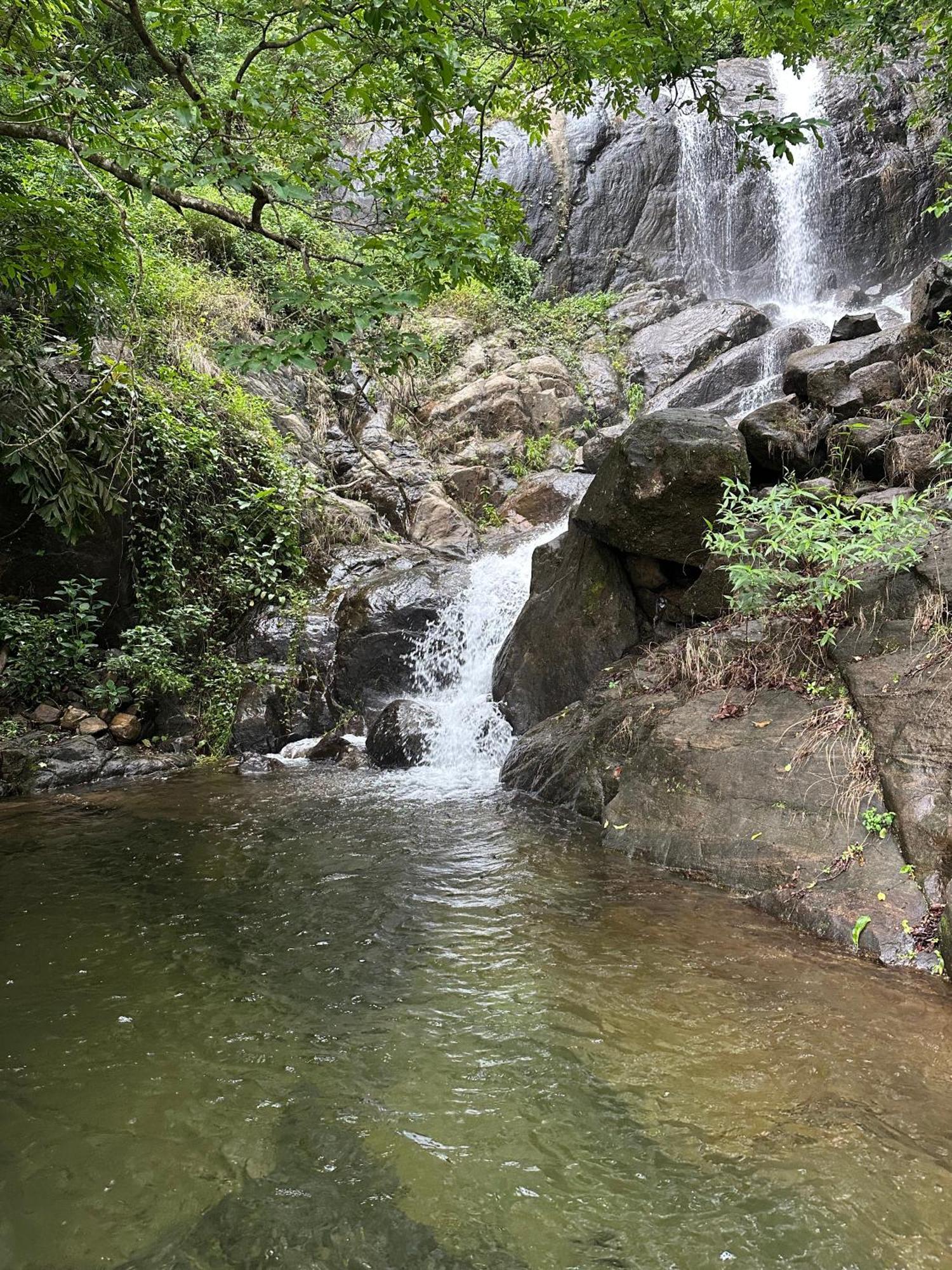 Sunset Valley Kerala Pool Resort - Monsoon Forest Cottage Stay In Idukki With Private Waterfalls, Natural Streams & Breathtaking Views Pīrmed Exteriér fotografie